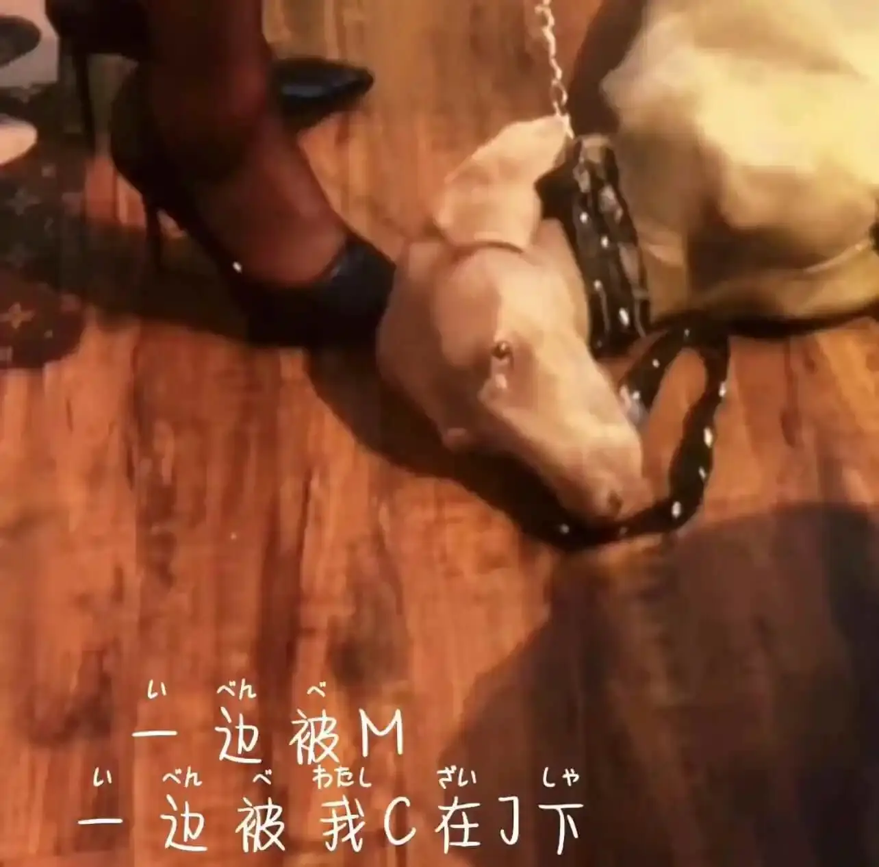 西檬之家-字母圈PE是什么？BDSM权力交换指南