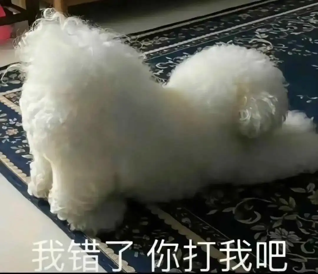 【西檬之家】字母圈新手指引：如何安全认知M倾向与BDSM文化