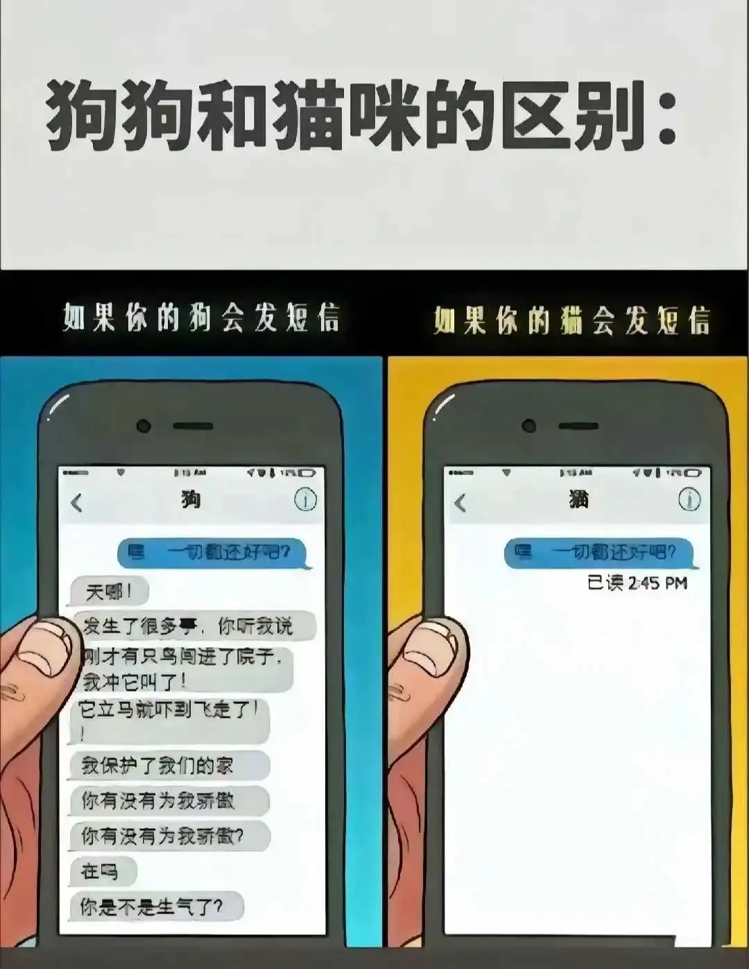 西檬之家-字母圈K9犬系是什么？新手权威指南