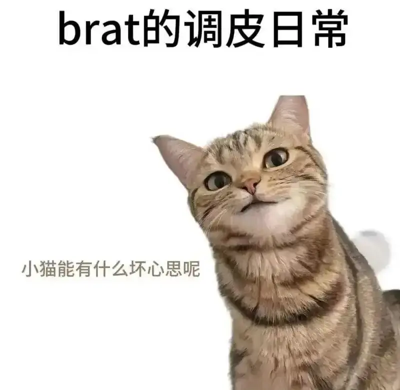 Dom - 微信图片_20251203212836_109_19