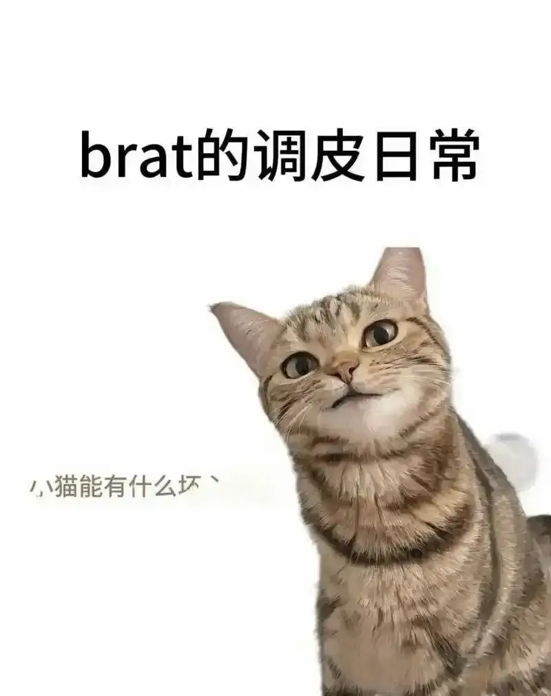 Sp：实用指南